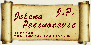 Jelena Pečinoćević vizit kartica